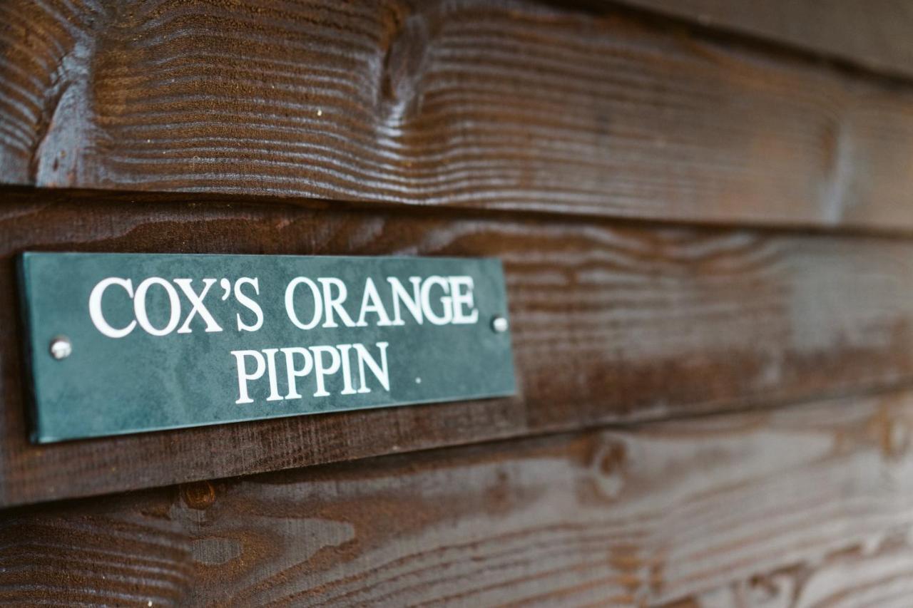 The Apple Rooms - Houghton Lodge Stockbridge  Dış mekan fotoğraf